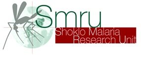 Microbiology Molecular Laboratory Technician (re-post)